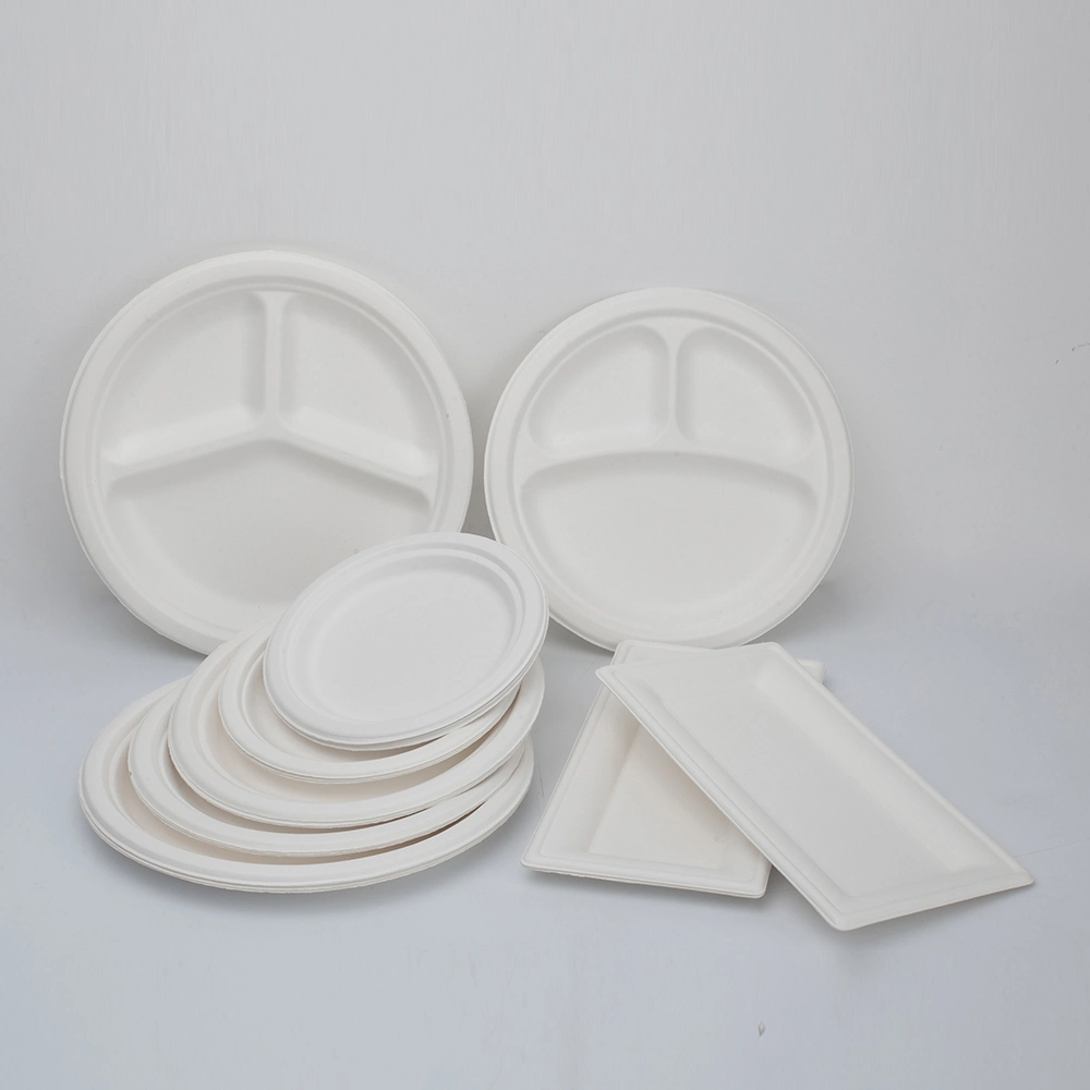 8.75 Inch Disposable Plates Bagasse Food Holder Food Standard Tableware