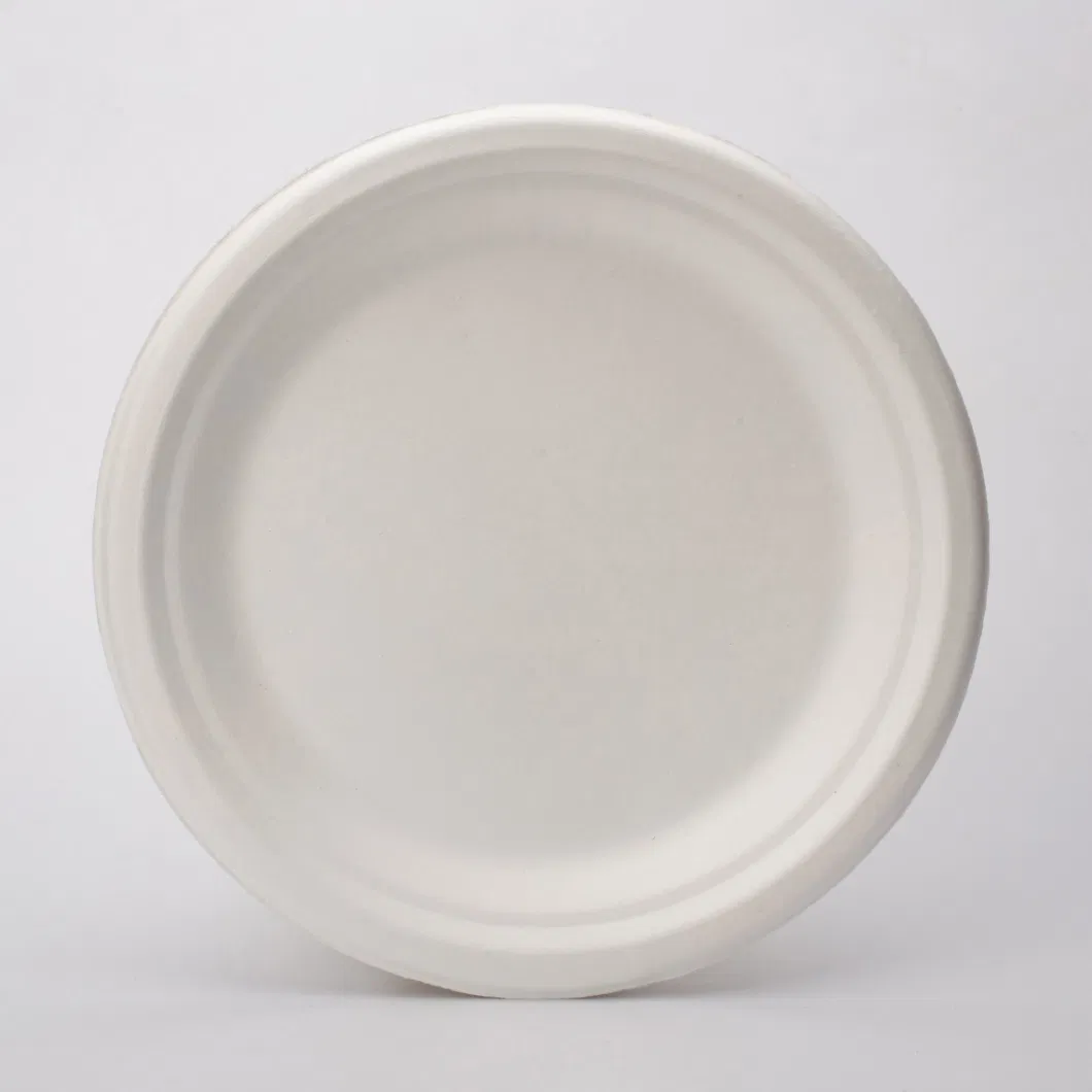 8.75 Inch Disposable Plates Bagasse Food Holder Food Standard Tableware